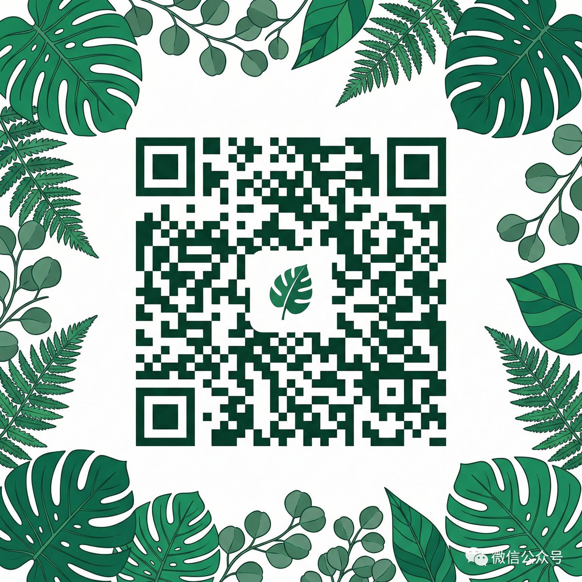 玩物社区公众号